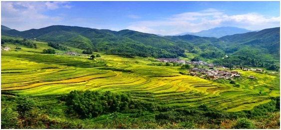 探索防雷产业链资源整合，打造新型防雷产业链生态